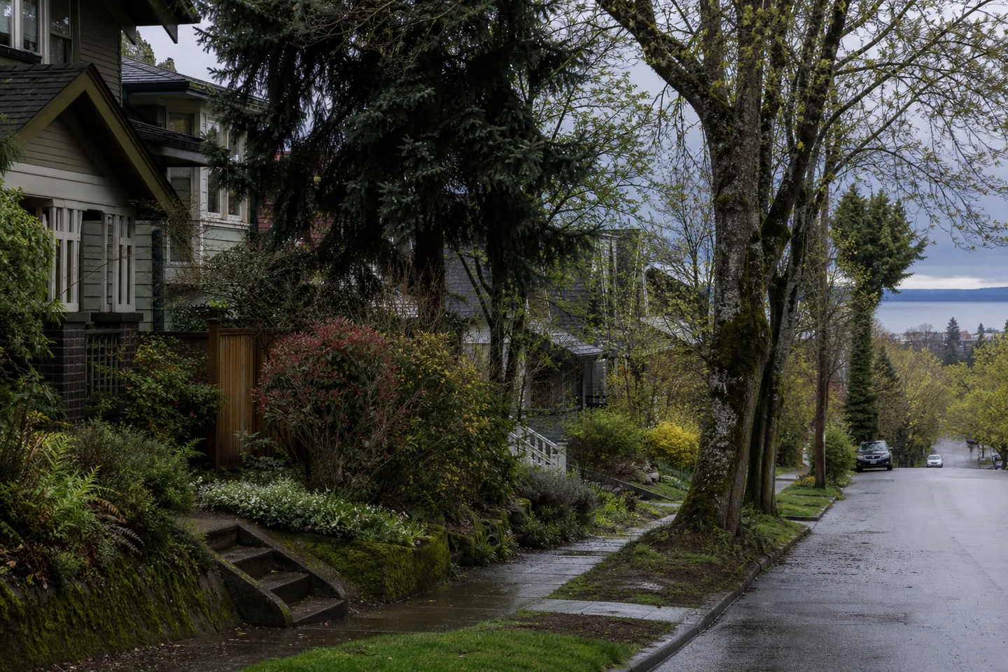 Bellingham, WA cityscape