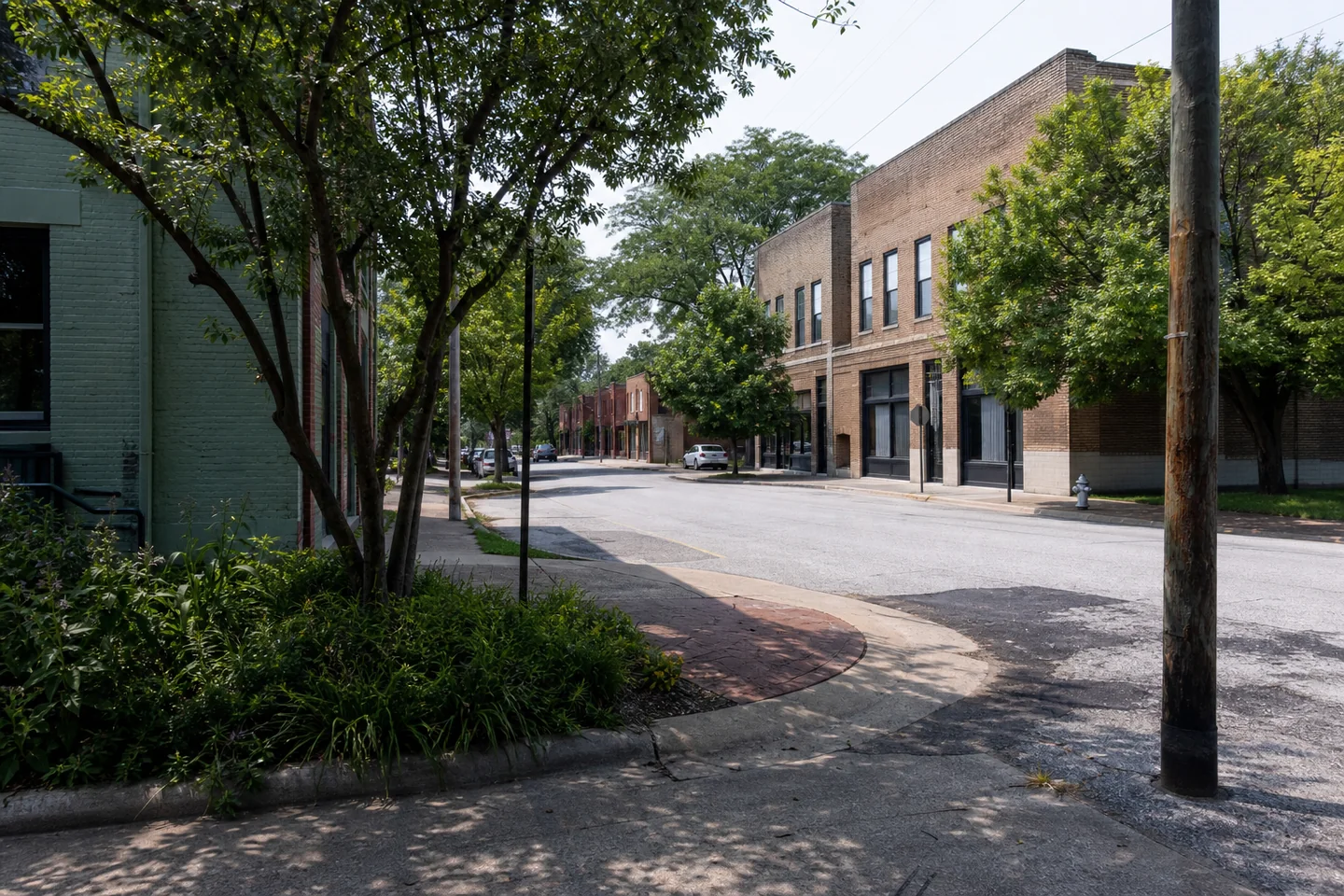 Carbondale, IL cityscape