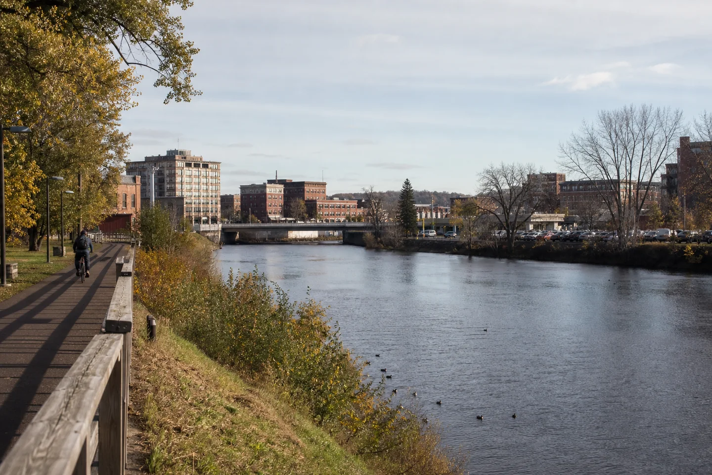 Eau Claire, WI cityscape
