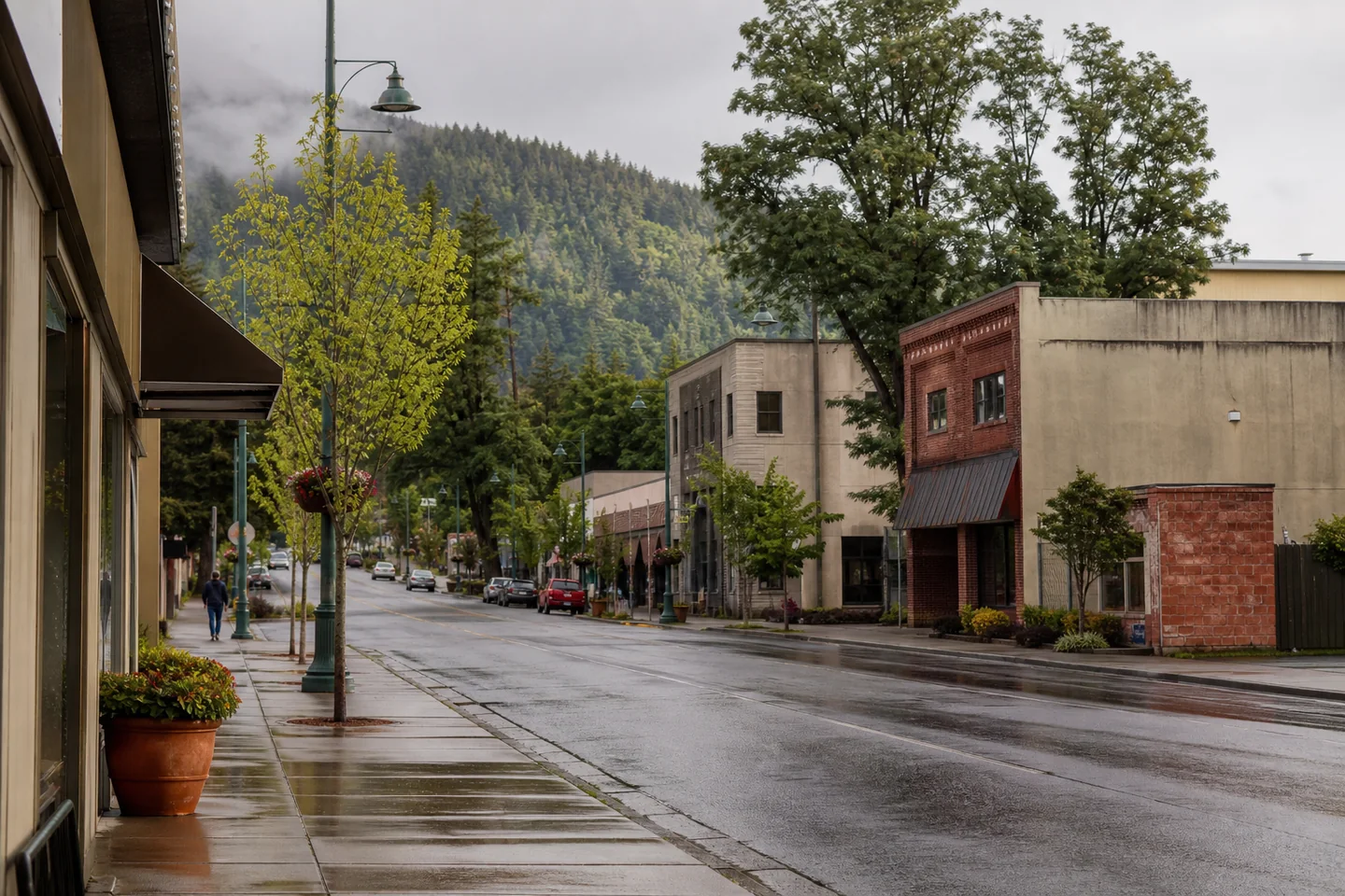 Mount Vernon, WA cityscape