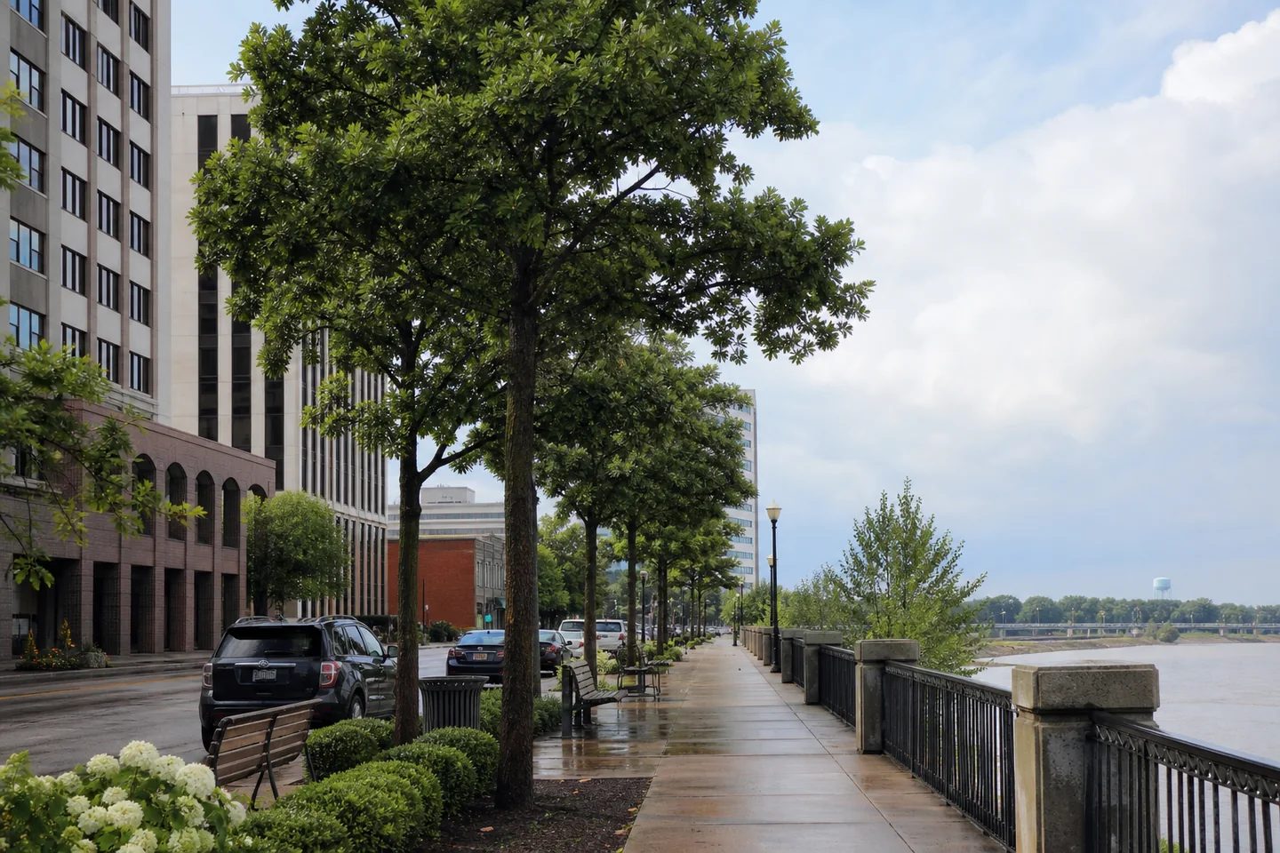 Owensboro, KY cityscape