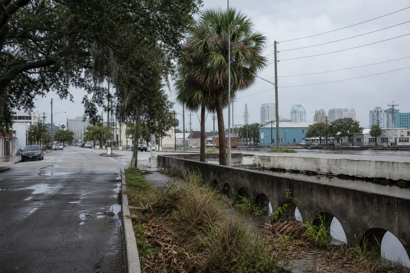 Tampa, FL cityscape