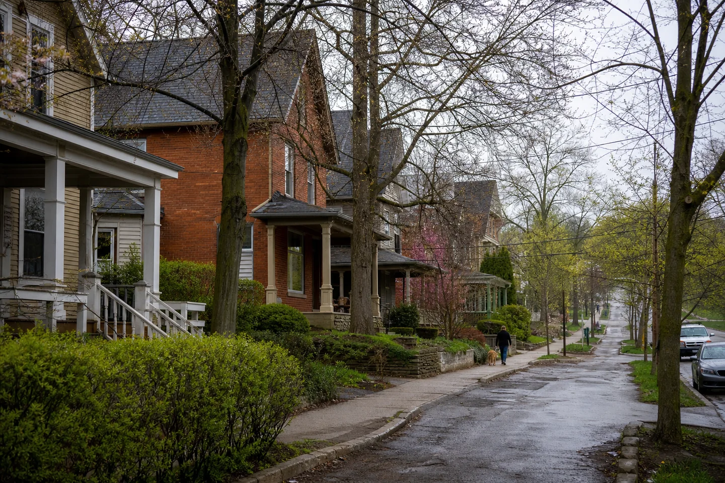 Ann Arbor, MI cityscape