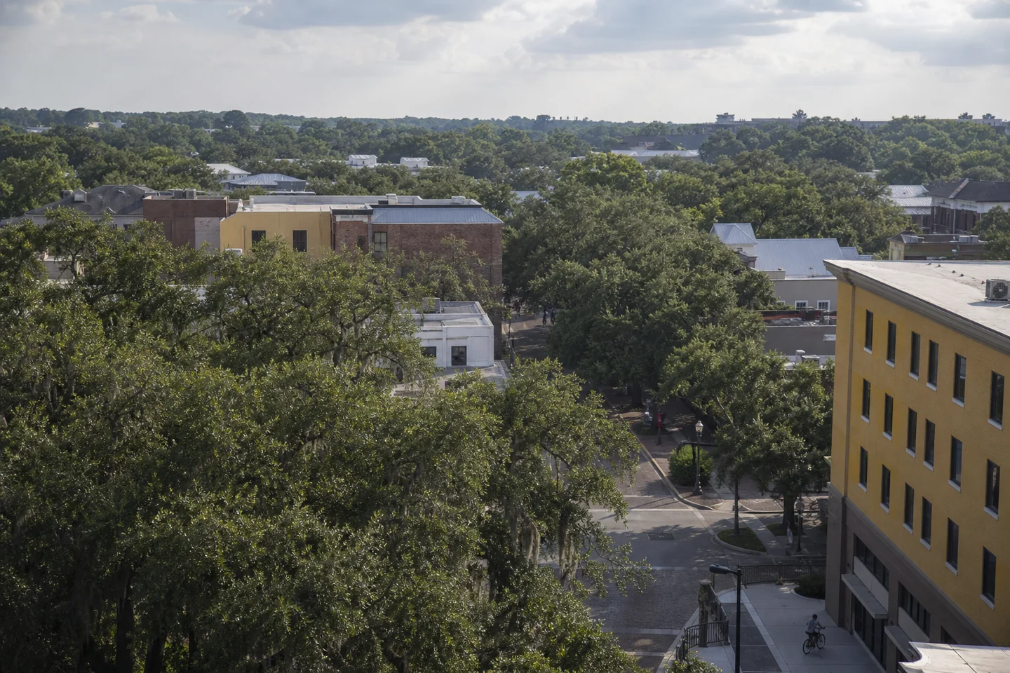 Gainesville cityscape