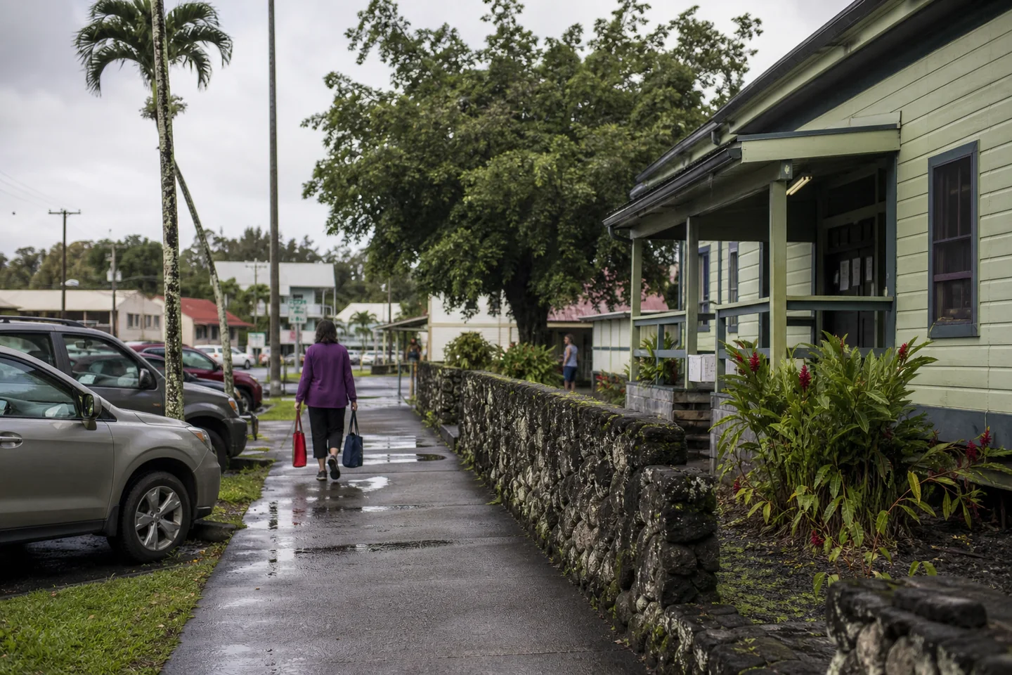 Hilo, HI cityscape