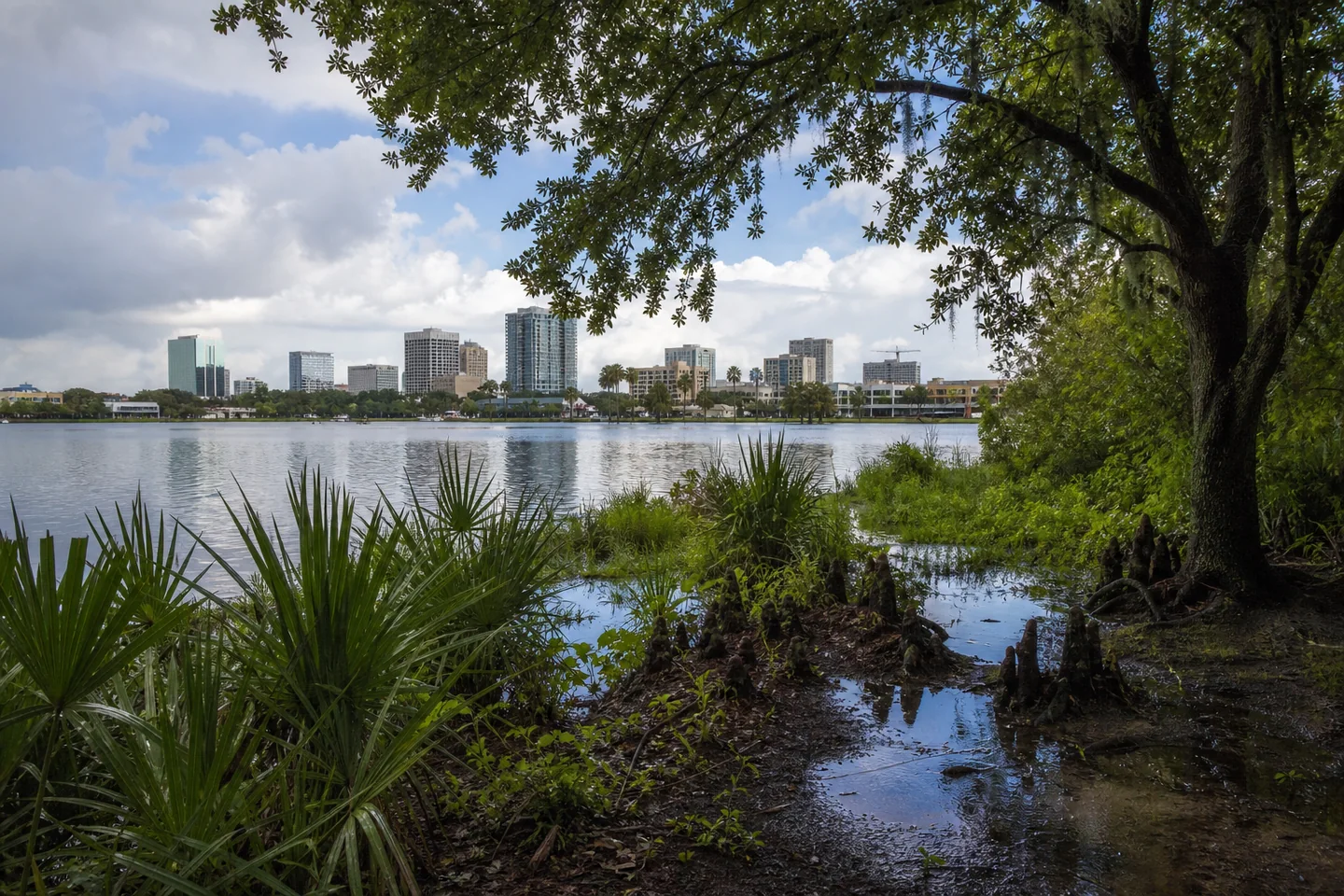 Orlando, FL cityscape