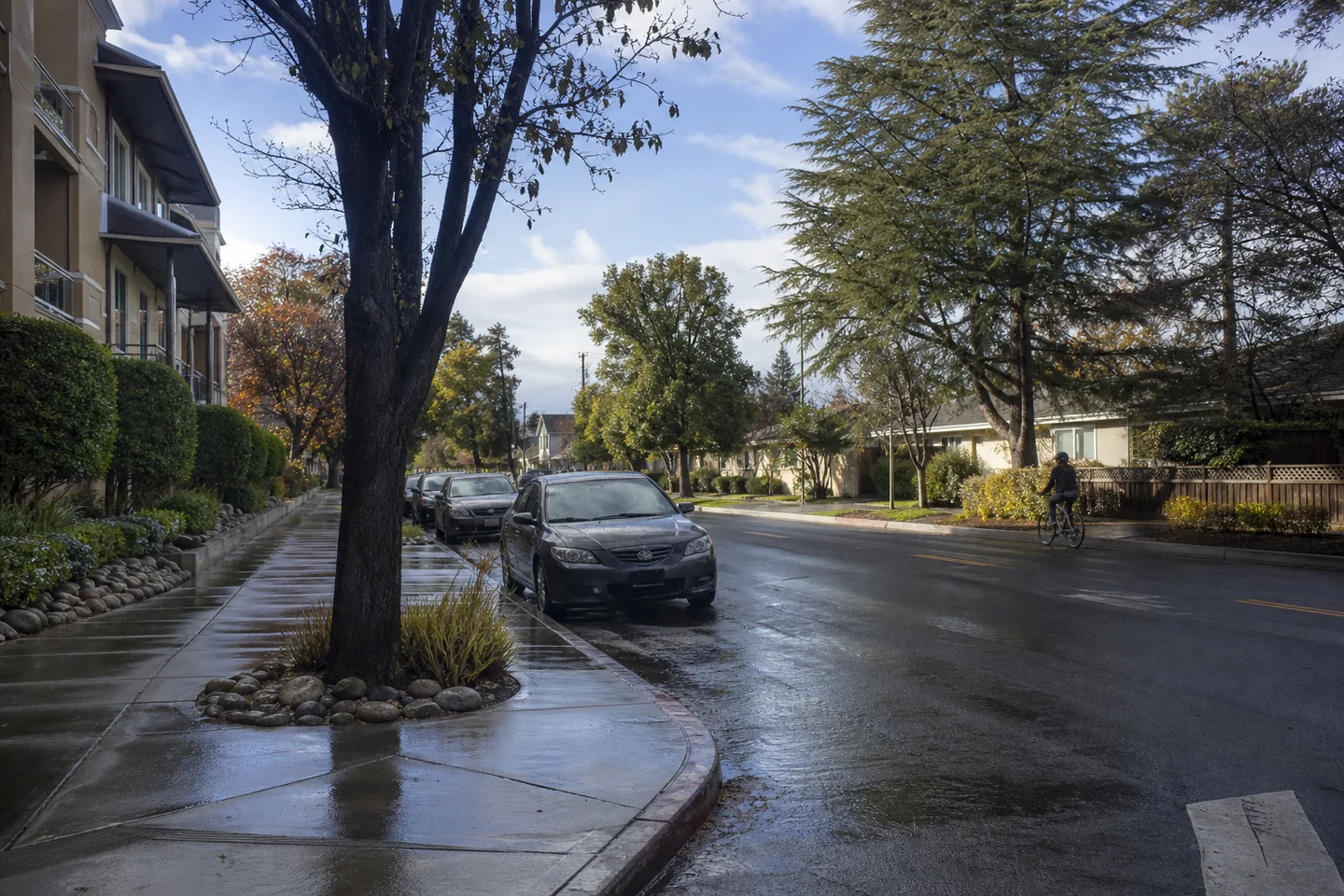Sunnyvale cityscape