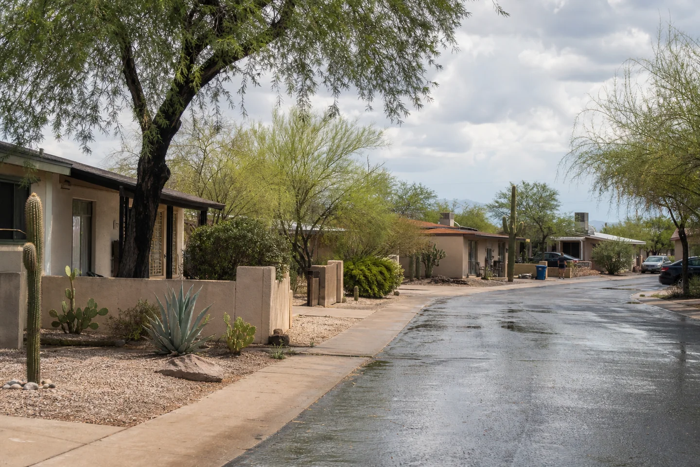Tucson, AZ cityscape